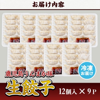 タレ付き!鹿児島うんまか豚生餃子(計108個・12個入り×9P)