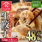 タレ付き!鹿児島うんまか豚生餃子(計48個・12個入り×4P)