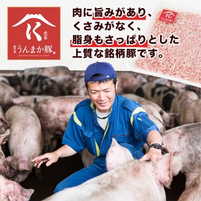 鹿児島うんまか豚ミンチ(計3kg・500g×6P)