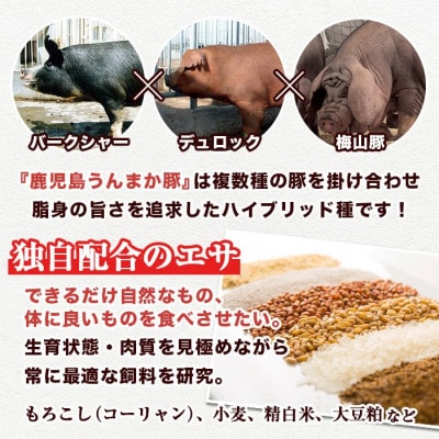 鹿児島うんまか豚ミンチ(計3kg・500g×6P)