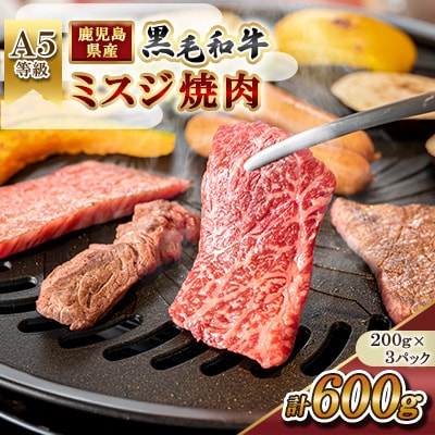 【A5等級】鹿児島県産 黒毛和牛 ミスジ 焼肉(計600g) 【カミチク】 s626(さつま町)