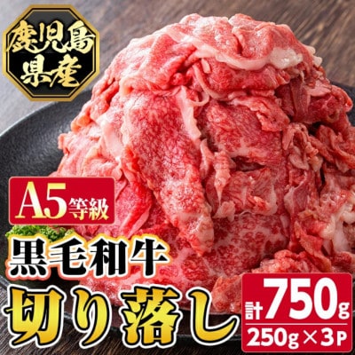 【A5等級】鹿児島県産 黒毛和牛 切り落とし (計750g) 【カミチク】 s629(さつま町)