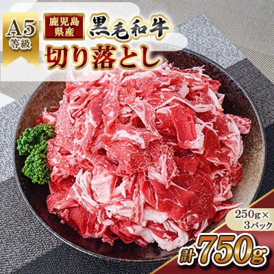 【A5等級】鹿児島県産 黒毛和牛 切り落とし (計750g) 【カミチク】 s629(さつま町)