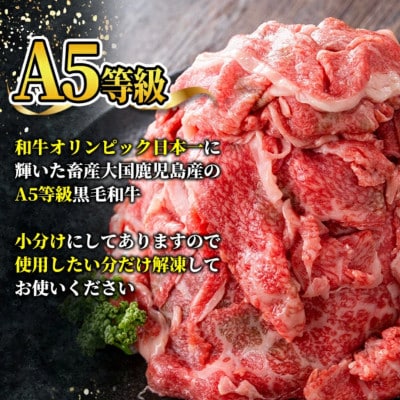 【A5等級】鹿児島県産 黒毛和牛 切り落とし (計750g) 【カミチク】 s629(さつま町)