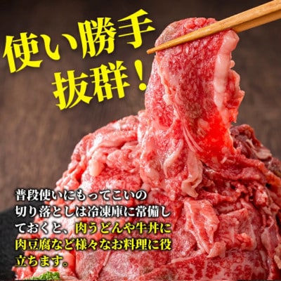 【A5等級】鹿児島県産 黒毛和牛 切り落とし (計750g) 【カミチク】 s629(さつま町)