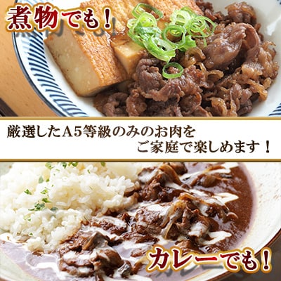 【A5等級】鹿児島県産 黒毛和牛 切り落とし (計750g) 【カミチク】 s629(さつま町)