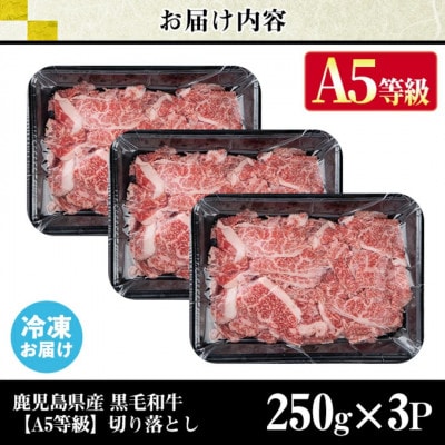 【A5等級】鹿児島県産 黒毛和牛 切り落とし (計750g) 【カミチク】 s629(さつま町)