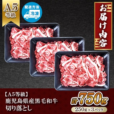 【A5等級】鹿児島県産 黒毛和牛 切り落とし (計750g) 【カミチク】 s629(さつま町)