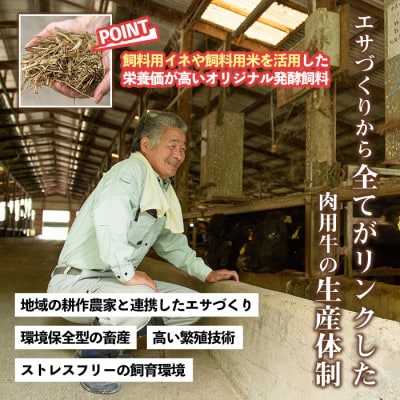 鹿児島県産黒毛和牛ユッケ 生食 計600g(40g×15p) タレ付【カミチク】s705(さつま町)