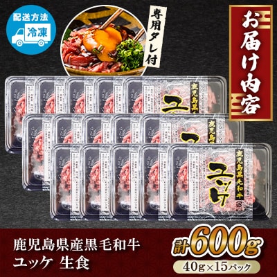 鹿児島県産黒毛和牛ユッケ 生食 計600g(40g×15p) タレ付【カミチク】s705(さつま町)