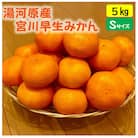 甘みと酸味のバランス抜群・宮川早生みかん　5kg(Sサイズ)