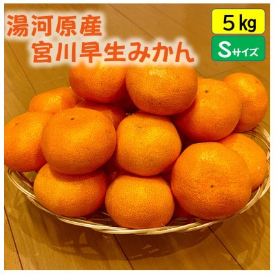 甘みと酸味のバランス抜群・宮川早生みかん　5kg(Sサイズ)