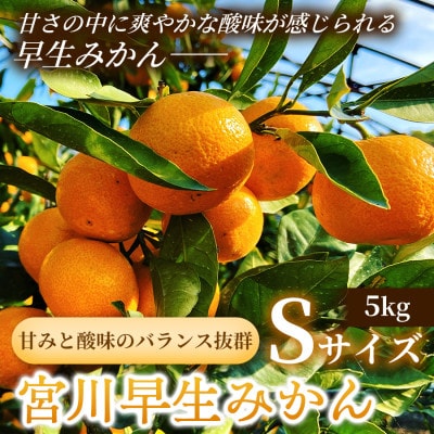 甘みと酸味のバランス抜群・宮川早生みかん　5kg(Sサイズ)
