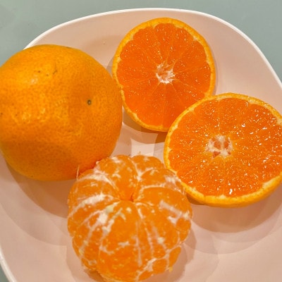 甘みと酸味のバランス抜群・宮川早生みかん　5kg(Sサイズ)