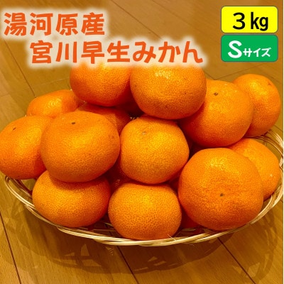 甘みと酸味のバランス抜群・宮川早生みかん　3kg(Sサイズ)