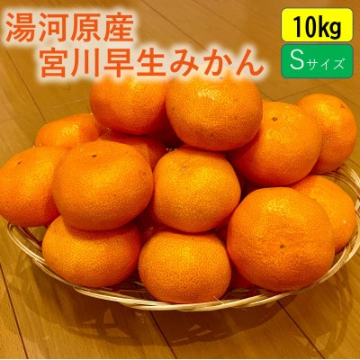 甘みと酸味のバランス抜群・宮川早生みかん　10kg(Sサイズ)