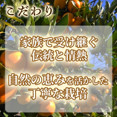 甘みと酸味のバランス抜群・宮川早生みかん　10kg(Sサイズ)