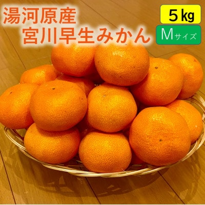 甘みと酸味のバランス抜群・宮川早生みかん　5kg(Mサイズ)