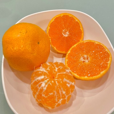甘みと酸味のバランス抜群・宮川早生みかん　5kg(Mサイズ)