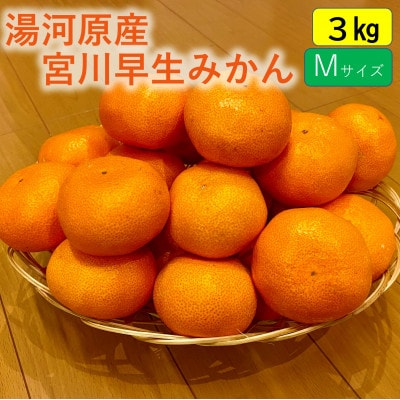 甘みと酸味のバランス抜群・宮川早生みかん　3kg(Mサイズ)
