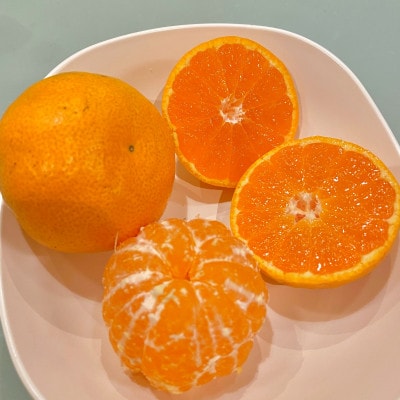 甘みと酸味のバランス抜群・宮川早生みかん　3kg(Mサイズ)
