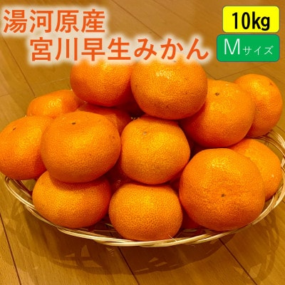 甘みと酸味のバランス抜群・宮川早生みかん　10kg(Mサイズ)