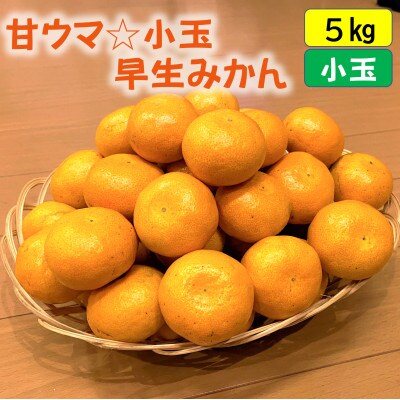 甘ウマ☆小玉・早生みかん　5kg