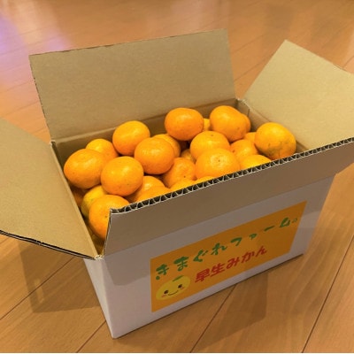 甘ウマ☆小玉・早生みかん　5kg