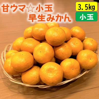甘ウマ☆小玉・早生みかん　3.5kg