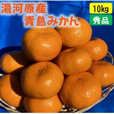 年末年始にお楽しみください!!　早出し☆青島みかん　10kg