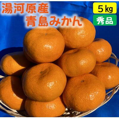 年末年始にお楽しみください!!　早出し☆青島みかん　5kg
