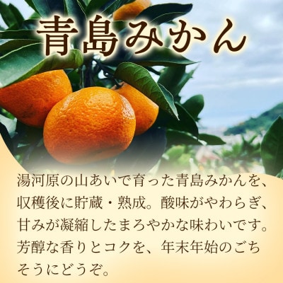 年末年始にお楽しみください!!　早出し☆青島みかん　5kg