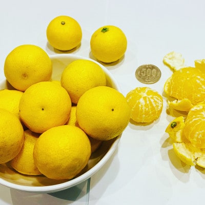 【希少フルーツ】甘ウマ☆小玉・湘南ゴールド(2Sサイズ)　3kg