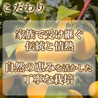 【希少フルーツ】甘ウマ☆小玉・湘南ゴールド(2Sサイズ)　3kg