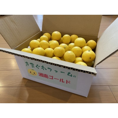 【希少フルーツ】熟ウマ☆小玉・湘南ゴールド(Sサイズ)　3kg