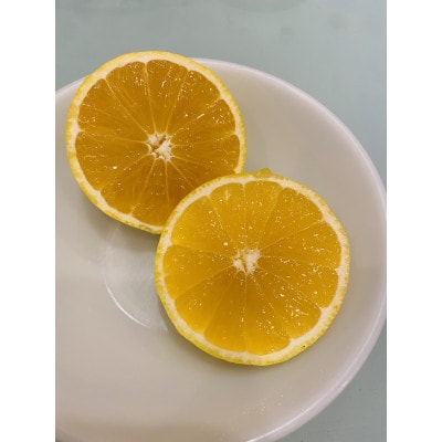 【希少フルーツ】熟成・湘南ゴールド(L・Mサイズ)5kg