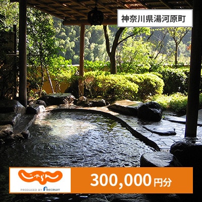 【じゃらんふるさと納税クーポン】 神奈川県湯河原町でつかえる300,000円 クーポン
