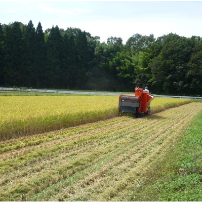 【令和6年産】石川県産コシヒカリ虚空蔵米　精米5kg×1袋