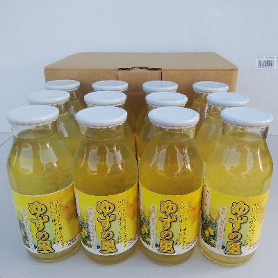 雪国ゆずの里ドリンク12本ケース入り<添加物・保存料不使用、栽培期間中農薬不使用の能美市産ゆず使用>