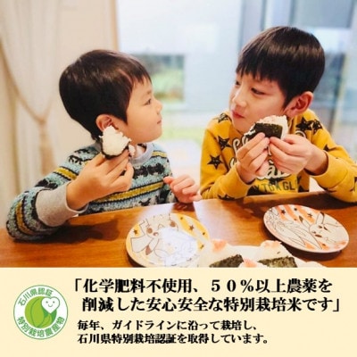 【日本農業賞大賞】厳選プレミアム米4.5kg精白米(特別栽培米コシヒカリ)