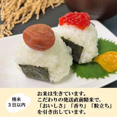 【日本農業賞大賞】ひゃくまん穀4.5kg精白米