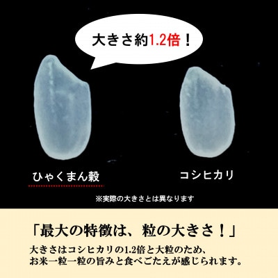 【日本農業賞大賞】ひゃくまん穀4.5kg精白米