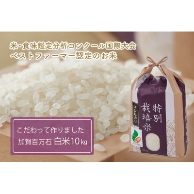 加賀百万石コシヒカリ白米10kg