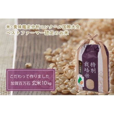 加賀百万石コシヒカリ玄米10kg