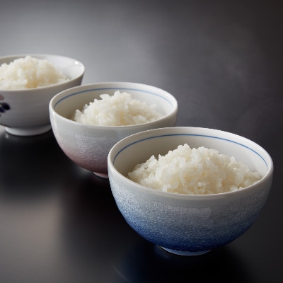 【令和4年産】能美の恵み「ひかり太陽米」食べ比べセット2合300g×3個入り　
