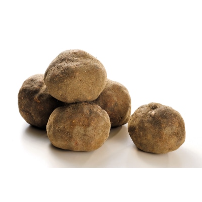 能美市特産 加賀丸いも 2kg