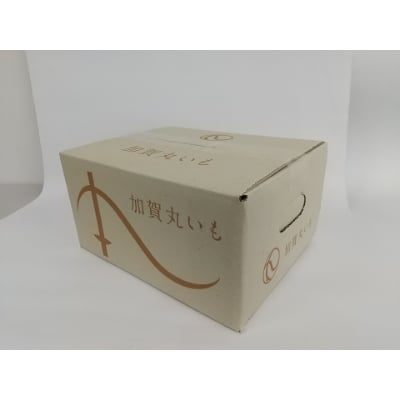 能美市特産 加賀丸いも 2kg