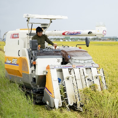 【令和7年産】石川県産コシヒカリ白米5kg×1袋漢方肥料米