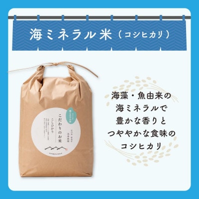 【R8年産】北本農場のお米石川県産コシヒカリ白米5kg×1袋海ミネラル米