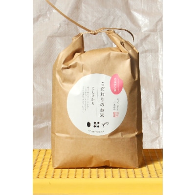 【令和7年産】石川県産コシヒカリ白米5kg×1袋カルゲン米